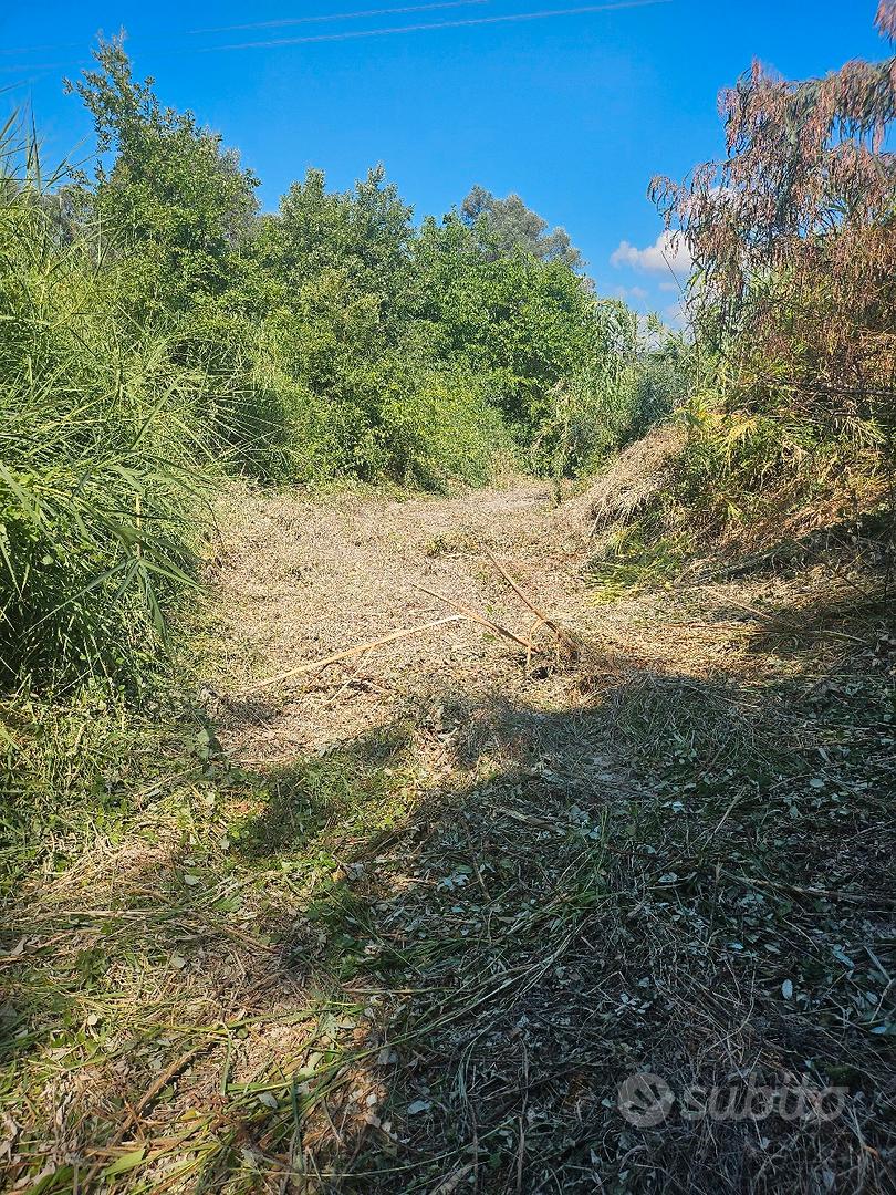 Terreno agricolo a Bianco - Vista 2