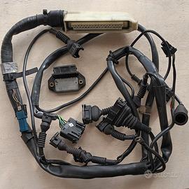 BMW K 100 RS cablaggio e centralina accensione