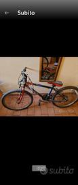 biciclette come foto