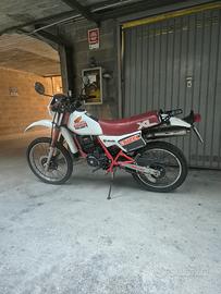 Honda xl