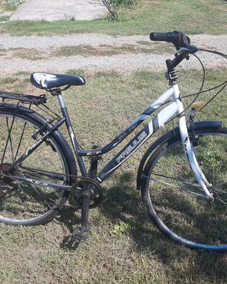 Bicicletta da donna