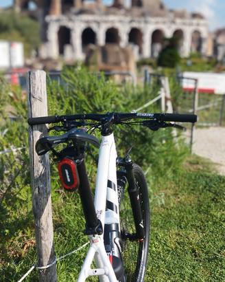 Scott Aspect 930  