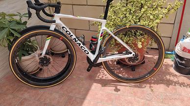 Colnago V4rs