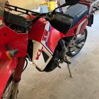 Kawasaki KLR 650