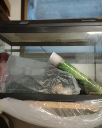 Acquario per pesci