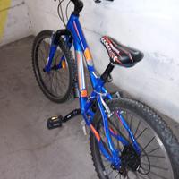 Bici taglia 24