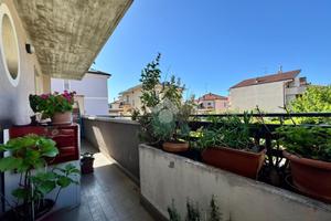 2 LOCALI A RIMINI