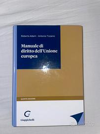 Manuale Di Diritto dell’Unione europea.