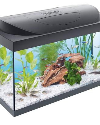 Acquario