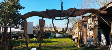 giogo x buoi antico 1900/10