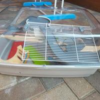 gabbietta per criceto 