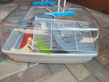 gabbietta per criceto 