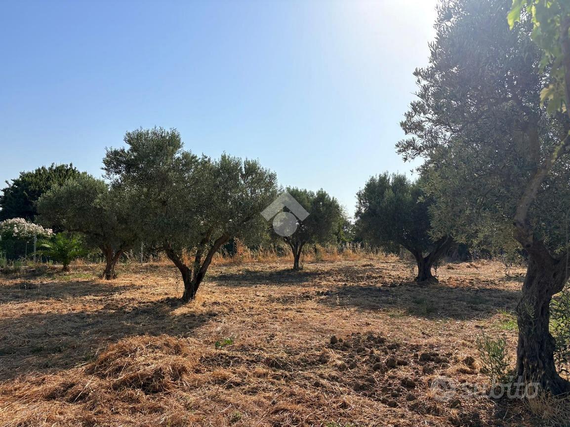 TER. AGRICOLO A BELCASTRO - Vista 3