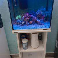 acquario con mobile