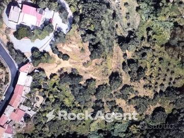 TERRENO AGRICOLO ADIACENTE ALLA STRADA PRINCIPALE