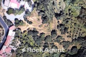 TERRENO AGRICOLO ADIACENTE ALLA STRADA PRINCIPALE