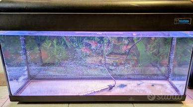 Acquario Poseidon 80 Litri + Mobile e Accessori