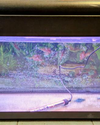 Acquario Poseidon 80 Litri + Mobile e Accessori