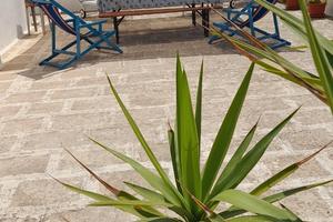 Casa 6pl.a t.mozza a pochi m.dal mare