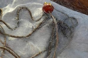 Rete da pesca in monofilo maglia 8