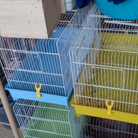 gabbie per cova e voliera come nuove 