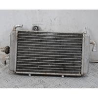 Radiatore Gilera Runner 180