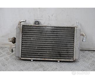 Radiatore Gilera Runner 180