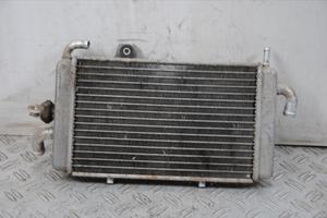 Radiatore Gilera Runner 180