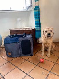 Zaino e Trasportino Tara 2 in 1 Trixie