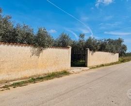 Castelvetrano villetta con 4700 mq di giardino