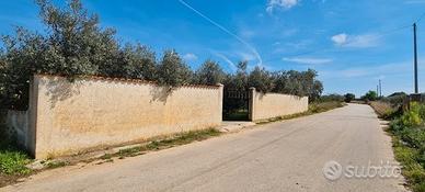 Castelvetrano villetta con 4700 mq di giardino