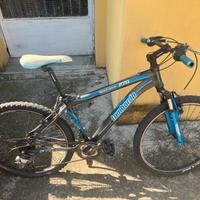 Bicicletta MTB Lombardo usata – Da sistemare