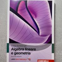 Libro algebra lineare e geometria