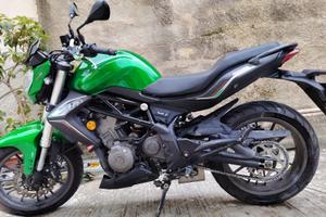benelli BN302