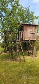 casa sull'albero 