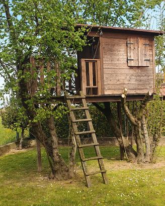 casa sull'albero 