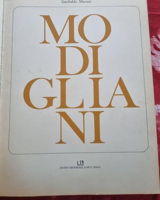 Libro di stampe in edizione limitata