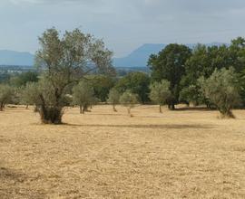 Castrocielo capodacqua - Terreno di 12 Mila metri