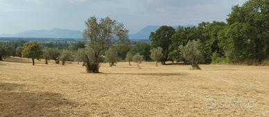 Castrocielo capodacqua - Terreno di 12 Mila metri