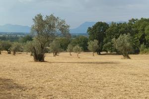 Castrocielo capodacqua - Terreno di 12 Mila metri