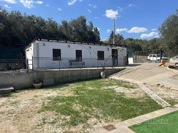 Vende/ affit periodo estivo villetta