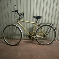 Bicicletta uomo