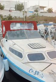 BARCA SHETLAND x CAMPER