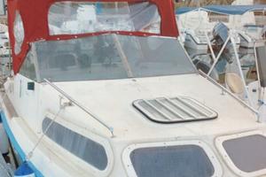 BARCA SHETLAND x CAMPER