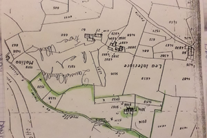 Cascinale con terreno da ristrutturare