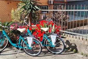Appartamento vicino al mare + bici