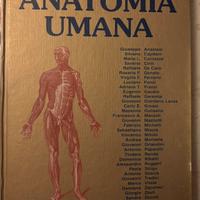 Anatomia Umana Anastasi