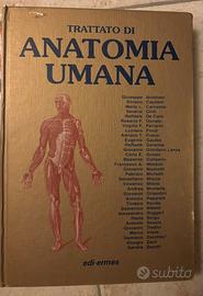 Anatomia Umana Anastasi