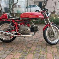 Aermacchi ala verde