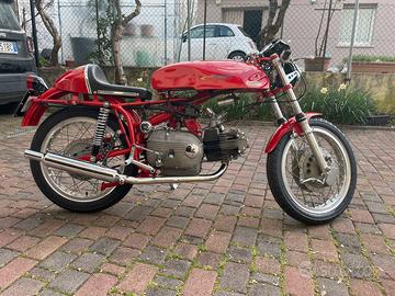 Aermacchi ala verde